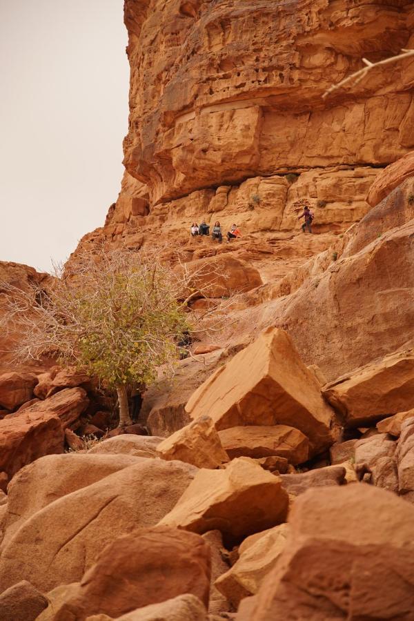 Quite Bedouin Life Hotel Wadi Rum Exterior photo