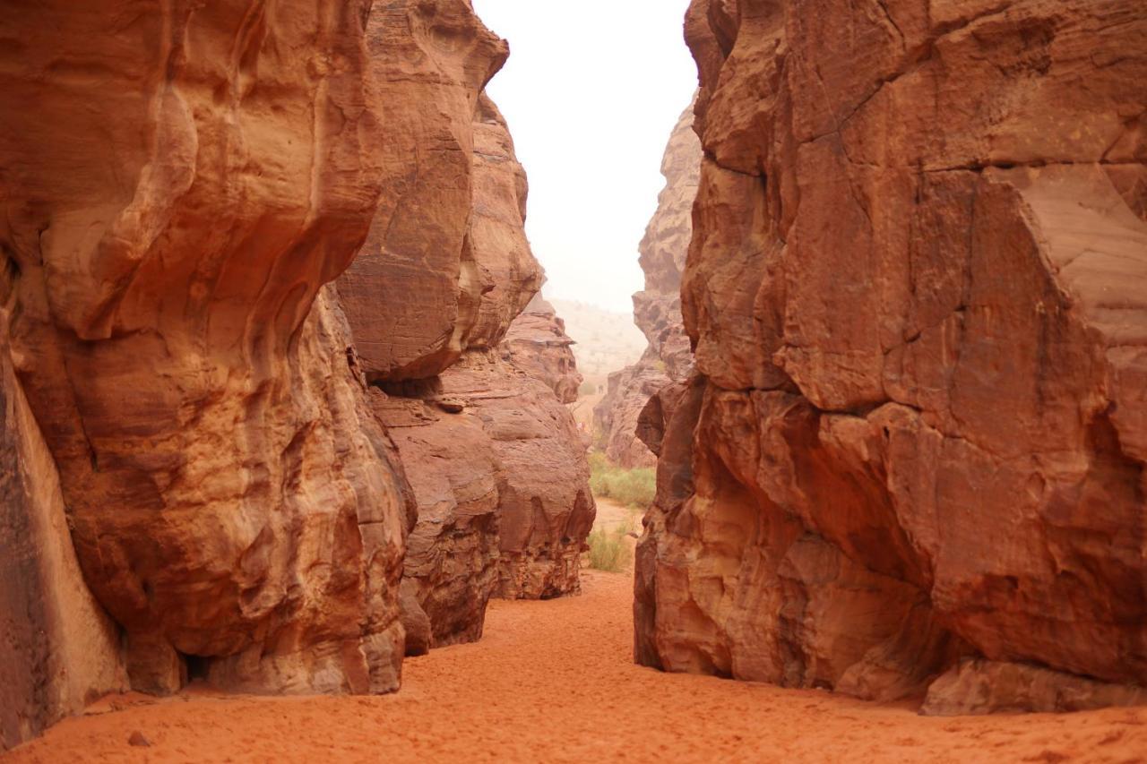 Quite Bedouin Life Hotel Wadi Rum Exterior photo