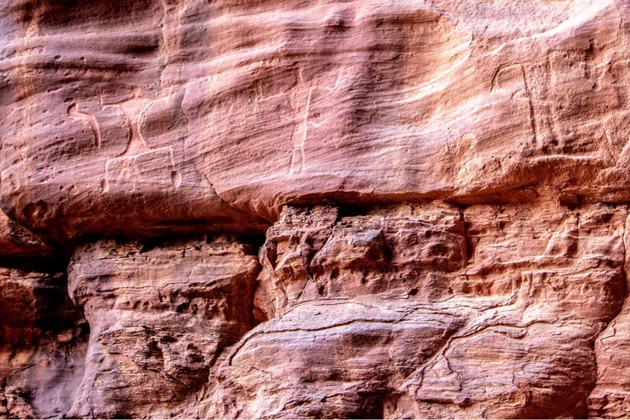 Quite Bedouin Life Hotel Wadi Rum Exterior photo