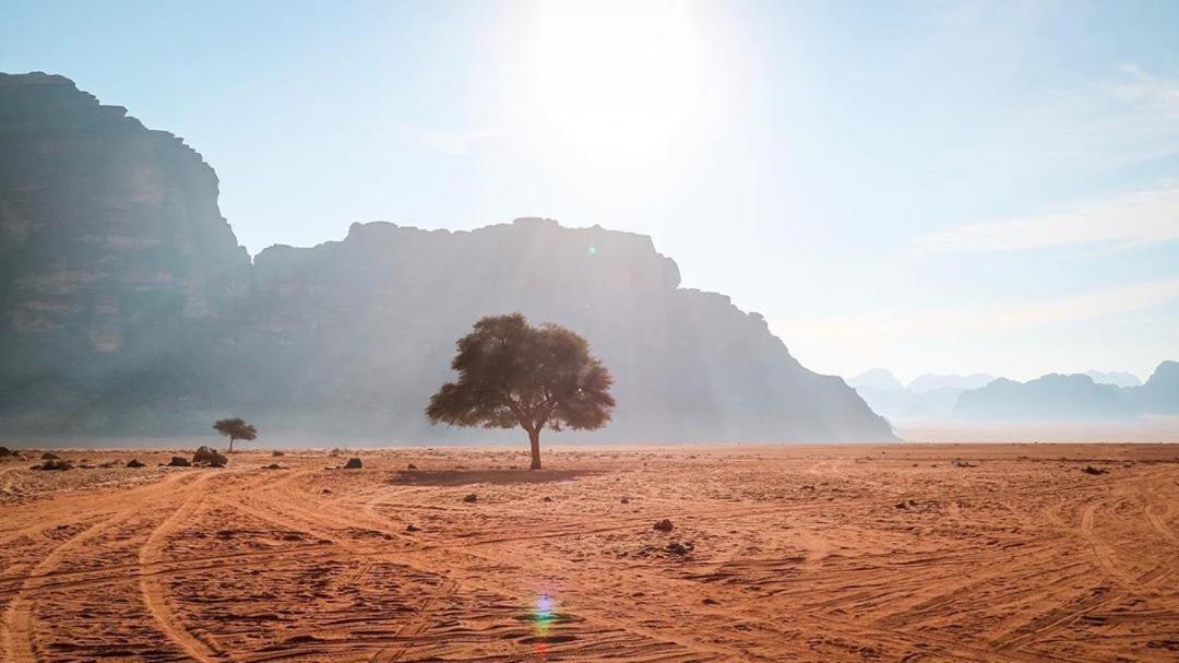 Quite Bedouin Life Hotel Wadi Rum Exterior photo